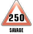 250 SAVAGE